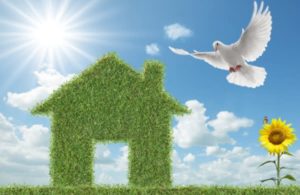 Vivienda Saludable: nuestro decálogo
