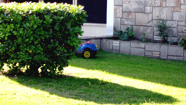 Riego ecológico para tu jardín