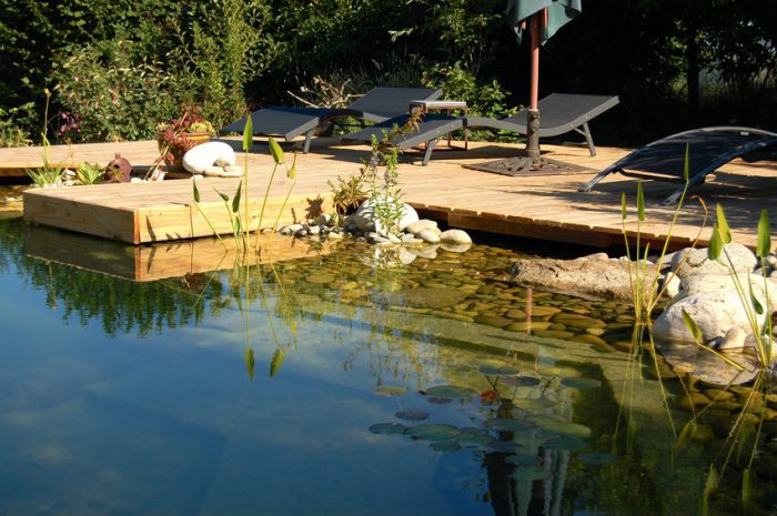 piscinas biologicas