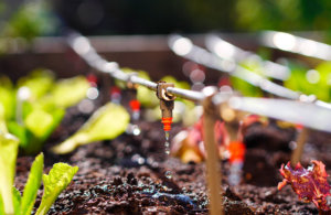 sistemas de riego ecológico