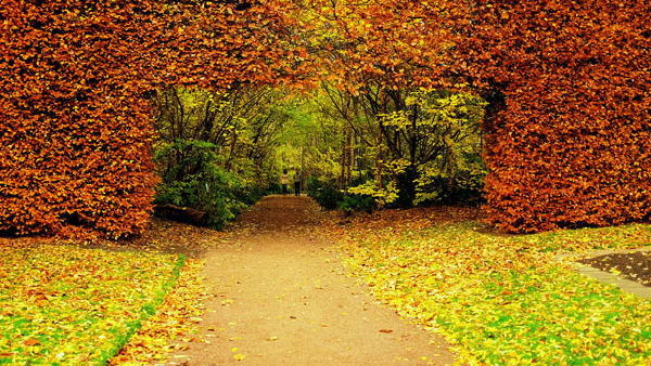 https://www.viviendasaludable.es/wp-content/uploads/2014/05/4-jardines-asombrosos-y-sostenibles.png