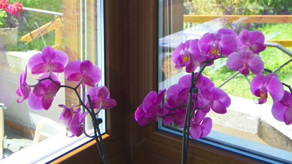 Foliados en madera para ventanas y puertas