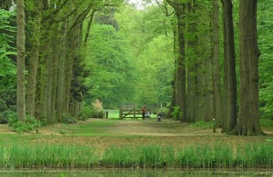 Jardines sostenibles