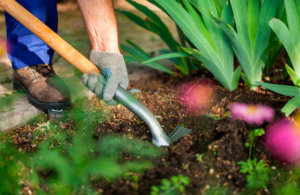 cuidados para el jardín en otoño