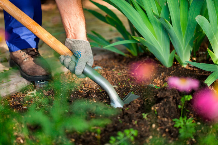 cuidados para el jardín en otoño