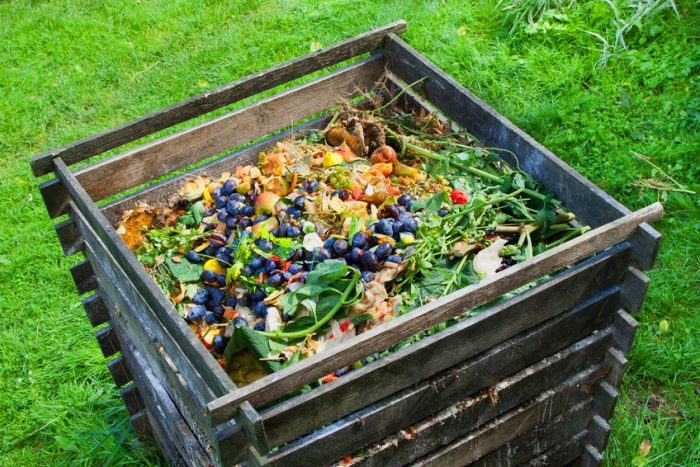 Compost para la basura orgánica