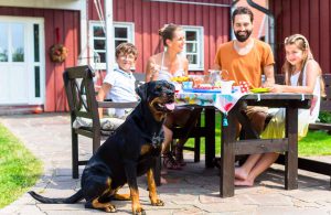 Familia comiendo en el jardin con mascota