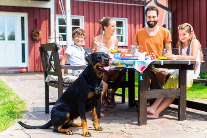 Familia comiendo en el jardin con mascota