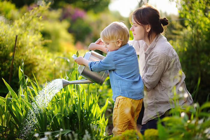 cómo cuidar el jardin en verano