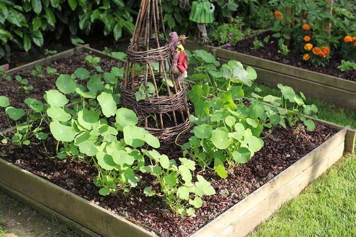 cómo organizar el jardín