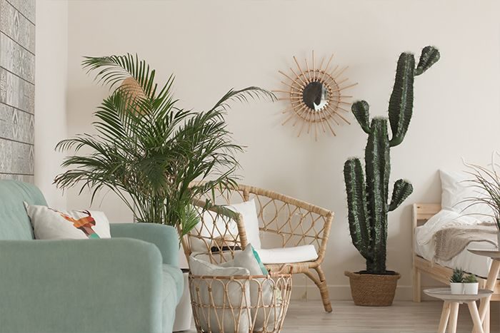 decorar casa estilo boho