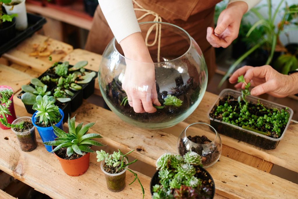 ideas para hacer un terrario en casa