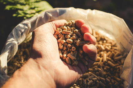 estufa de biomasa