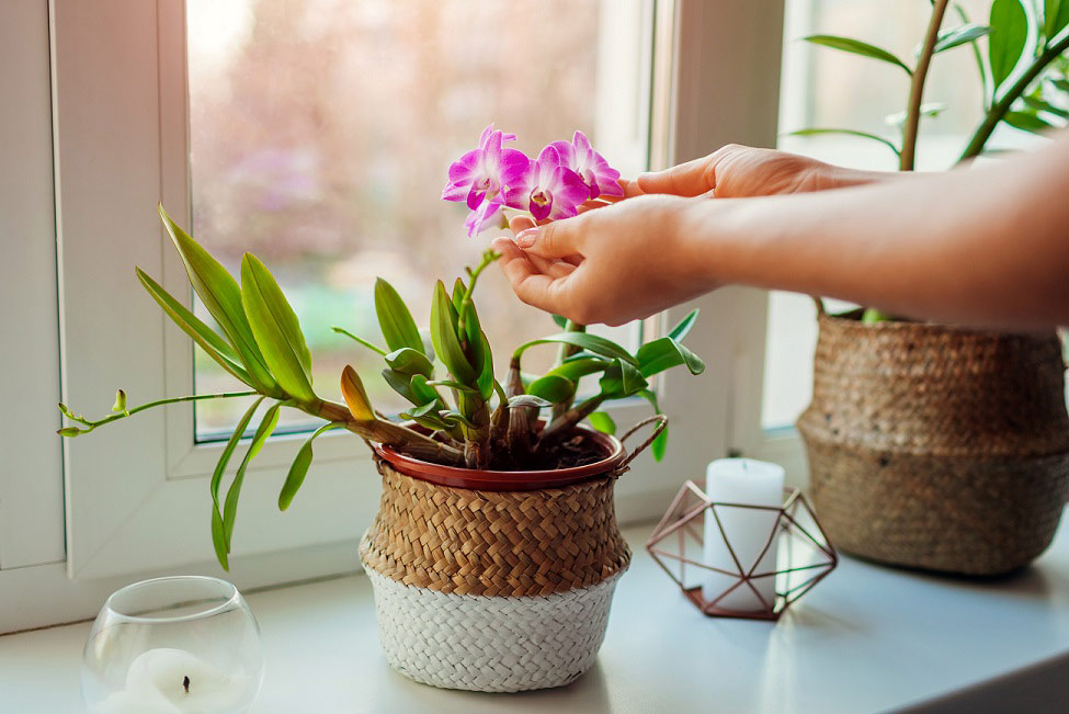 Prepara tu casa para la primavera