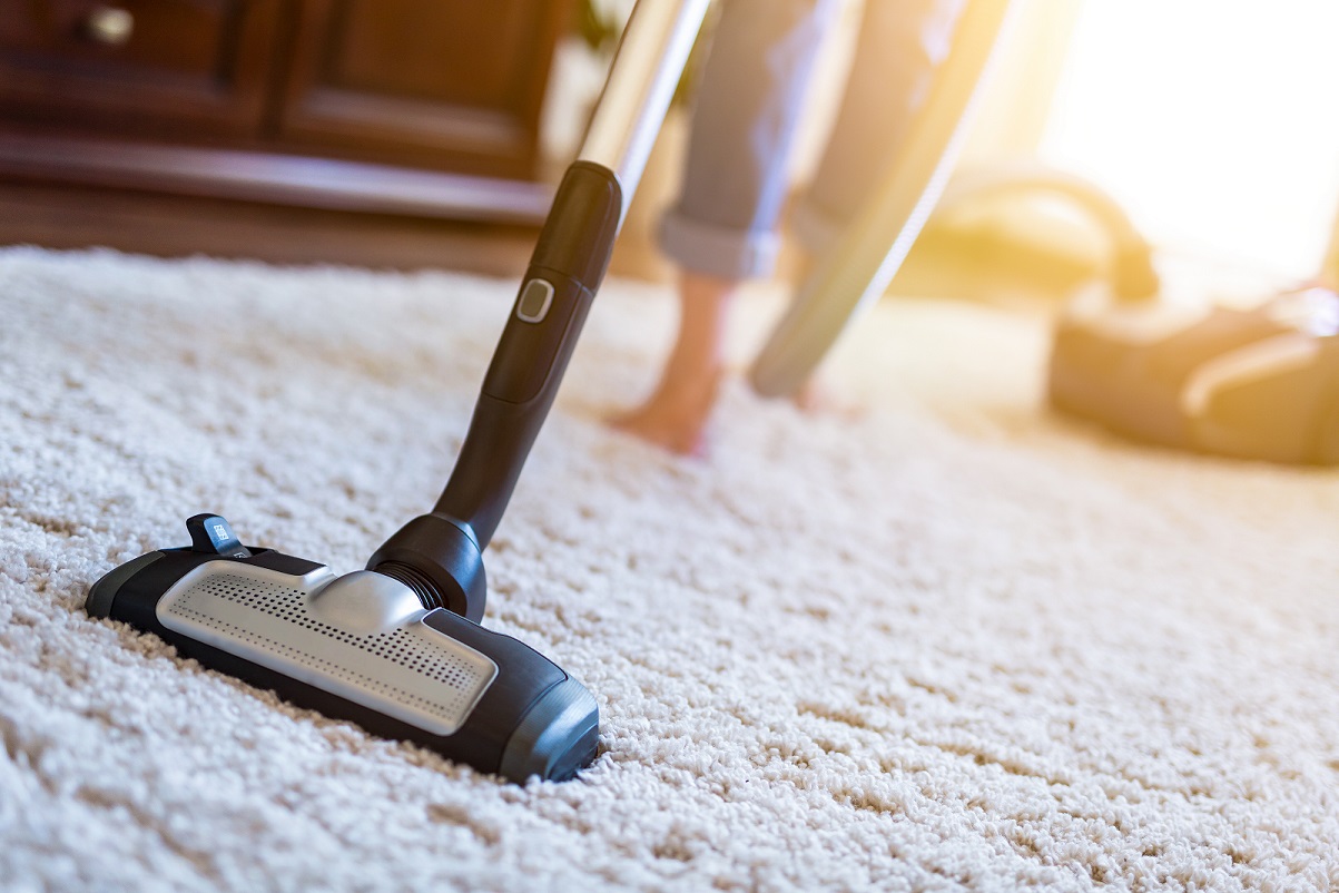 Manual limpiar alfombras
